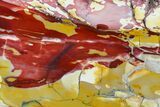 Vibrant, Polished Mookaite Jasper Slab - Australia #184708-1